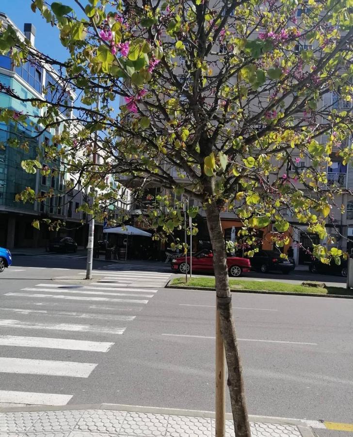 Apartamento Boutique "A Casa De Lola" Boiro Dış mekan fotoğraf